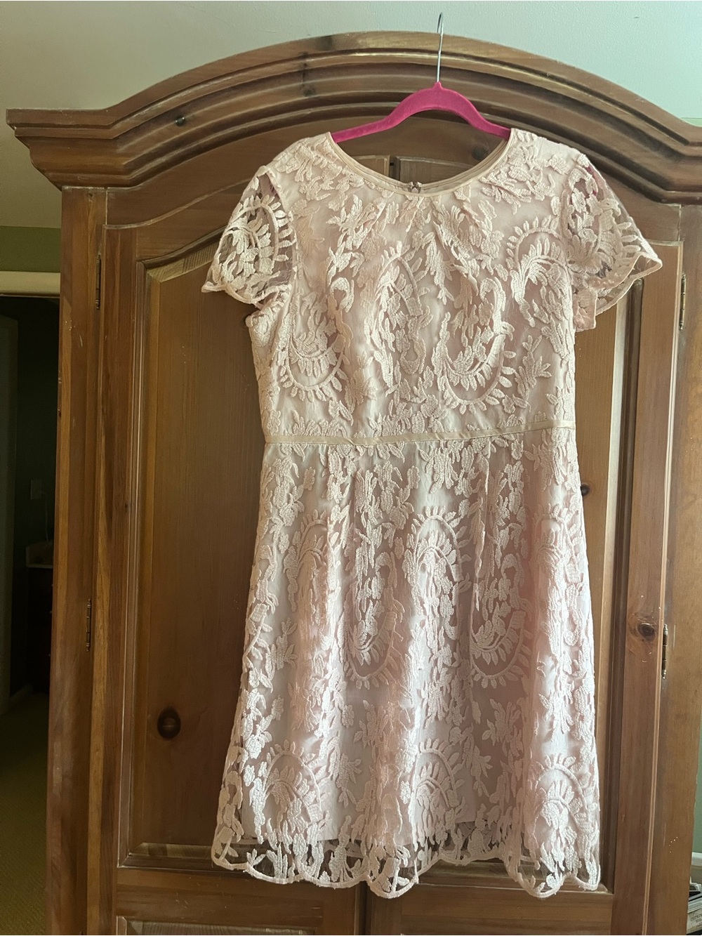 Adrianna Papell Blush Lace Fit-and-Flare Dress